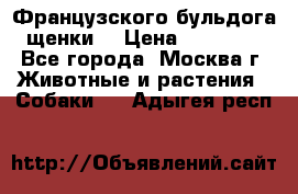 Французского бульдога щенки  › Цена ­ 35 000 - Все города, Москва г. Животные и растения » Собаки   . Адыгея респ.